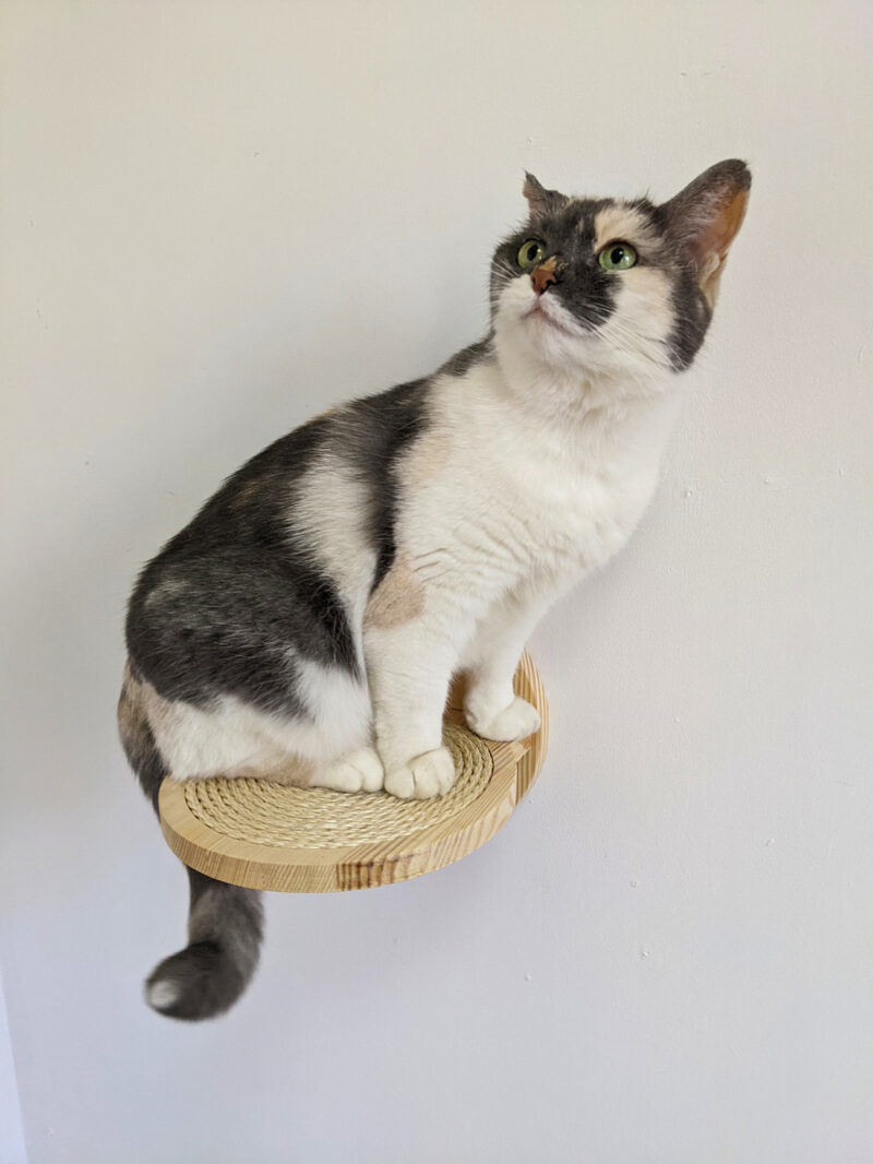 Cat Steps for walls with sisal rope - Image 3