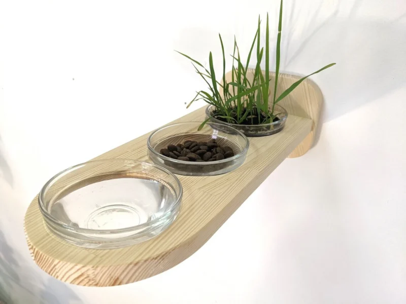 Set of Big Shelf and Cat Feeder Shelf with 3 glass bowls - Image 4